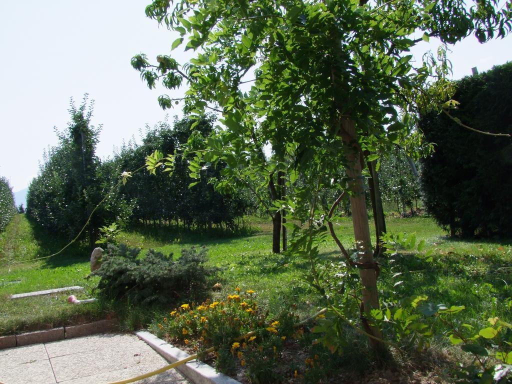 Nanno Agritur Fior Di Melo 아파트 외부 사진